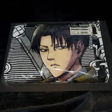 진격의 거인 리바이 빅 타월 원화전