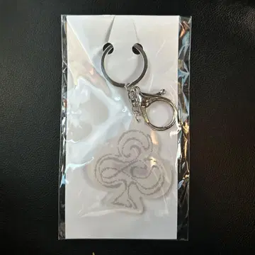 &TEAM 사츠가메 uv 키링