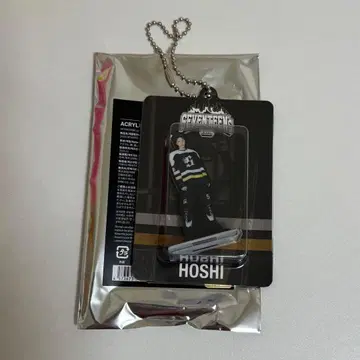 SEVENTEEN's HOME 아크릴 키링 호시