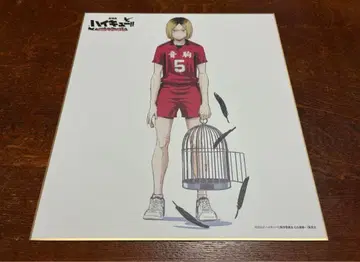 하이큐 쓰레기장의 결전 IG스토어 특전 색지 코즈메 켄마