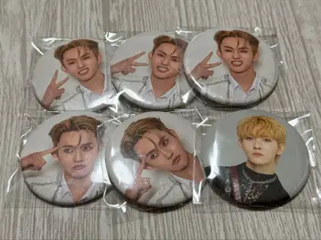 타지마 쇼고 캔뱃지