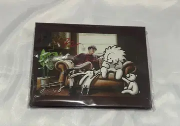 마키시마 히카루 사진 앨범 케이스