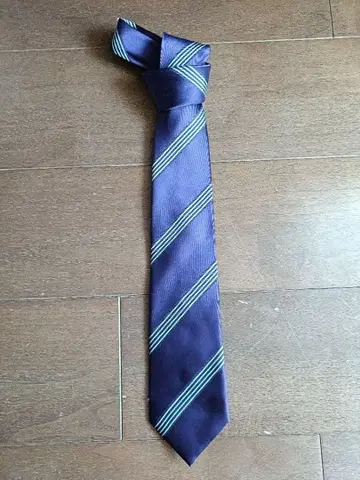 TAKEO KIKUCHI 다크 퍼플 24Qty Satin 실크 넥타이