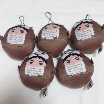 하이큐!! 테노린즈 아카아시 케이지