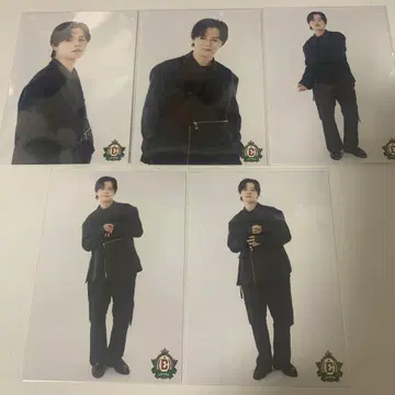 봄이다! 소이야다! 초특급이다! 브로마이드 카이 솔로 컴프 세트