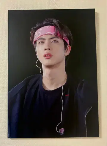 bts JIN 사진 패널