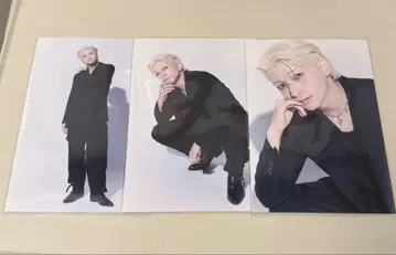 팬더 드래곤 요타 엽서 3종