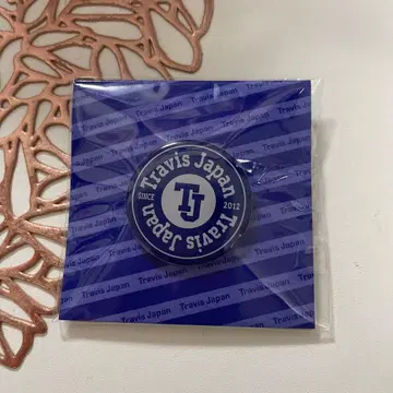 트라제 혜택 핀 배지