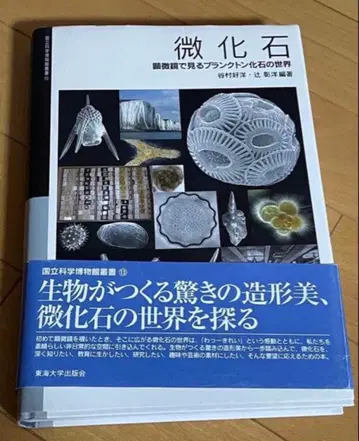 미화석 현미경으로 보는 플랑크톤 화석의 세계