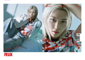 Stray Kids 스키즈 DICON 필릭스