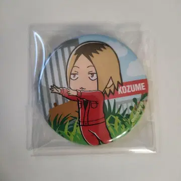 레어 하이큐 코즈메 켄마 토부 동물공원 캔뱃지 미니 캐릭터