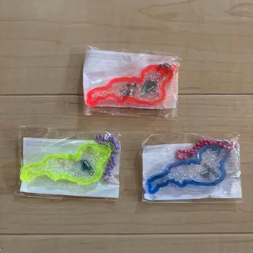 비와코 키링 이부키산 3색 세트