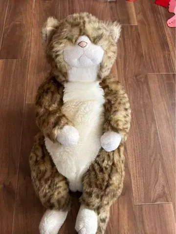 고양이 봉제 인형 카드리