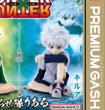 HUNTER x HUNTER 헌터헌터 스와라세타이 리얼 키루아