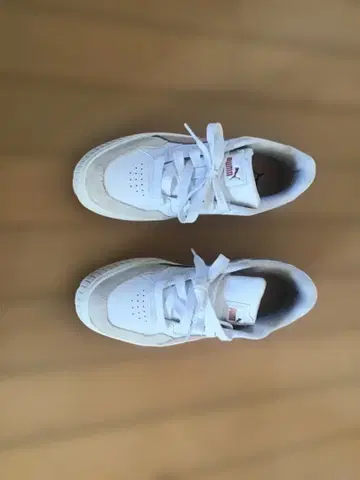 PUMA 화이트/핑크 통굽 스니커즈