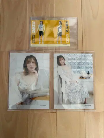 걸즈 경륜 코다마 아오이 브로마이드 3종