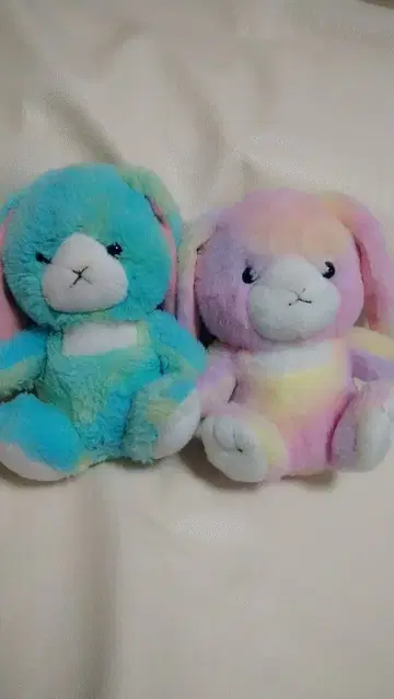 다이소 토끼 봉제 인형 tineIes 코816