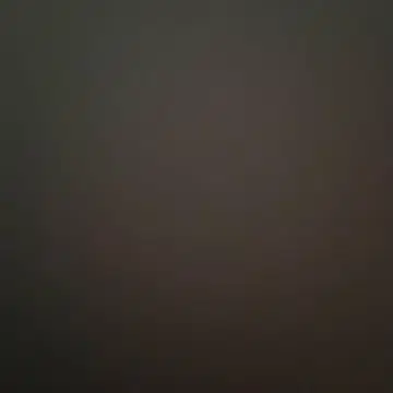 박스 포함 스와로브스키 미키 80주년 목걸이 스트랩