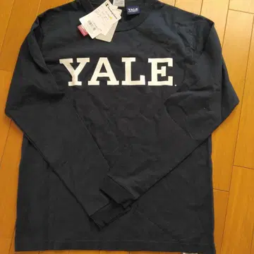 챔피온 롱 T YALE