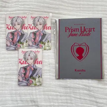 니지산지 준브라이드 2025 폴라로이드 혜택 쿠츠하 4종 세트