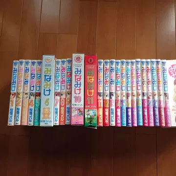 미나미케 1-23권 DVD 포함 초회 한정판 있음 오카와리 DVD