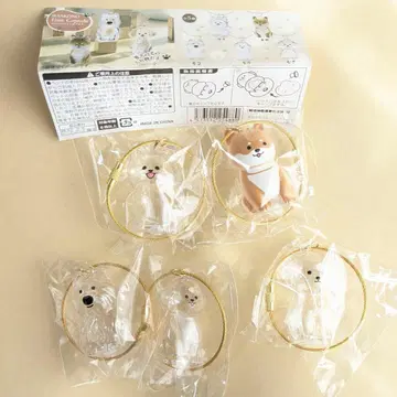 강아지 타임캡슐 키링 5개 세트 새상품