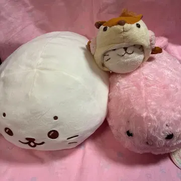 시로탄 봉제 인형 3종 세트