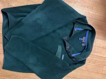 파타고니아 Patagonia 스냅T USA제 헌터 그린