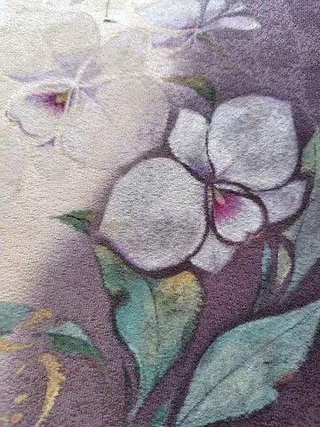 나고야 오비 팔레놉시스