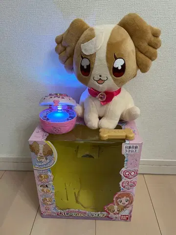 원더풀 팩트 오챠베리 타푸리 코무기