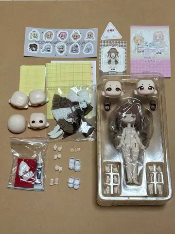 당지수 100% 슈가 100% 코코아 브라우니 크라우드 펀딩 특전 포함