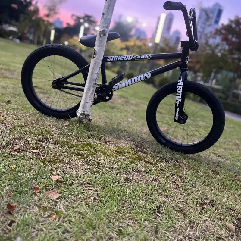 선데이 프라이머 18인치 BMX