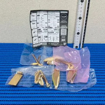 생물대도감 어드밴스 왕사마귀 갈색형 !