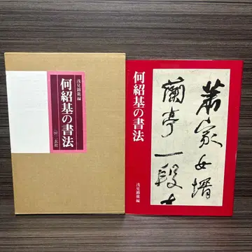 하소기의 서법 아사미 킨류 편 니겐샤