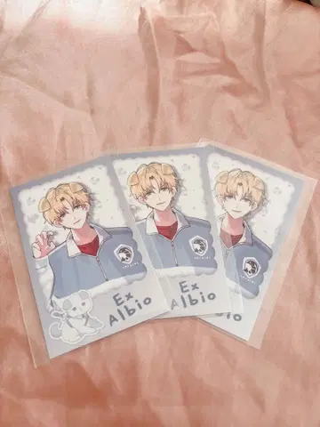 엑스알비오 완냥 랜덤 폴라로이드풍 카드