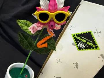 플라워 락 카틀레아 타카라 골동품 당시품