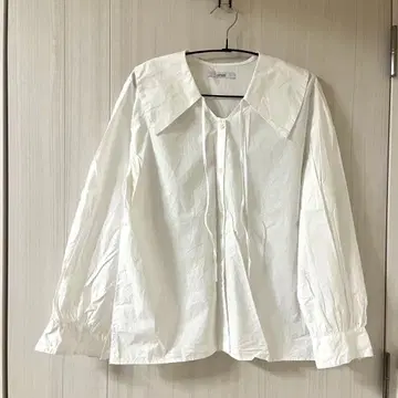 [ JOURNAL STANDARD relume ] 빅 칼라 블라우스