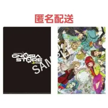 그노시아 A4 클리어 파일 1매 GNOSIA STORE 파르코