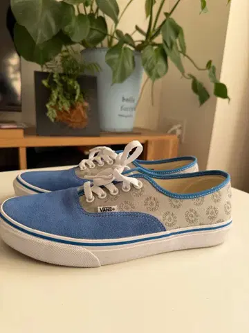 VANS x BUMP OF CHICKEN 27.5