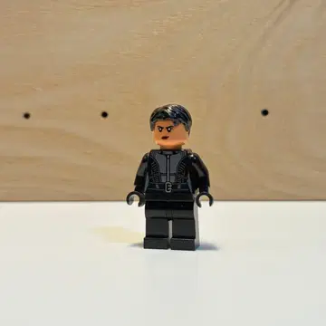 레고 미니 피규어 정품 LEGO 셀리나 카일 배트맨 76183