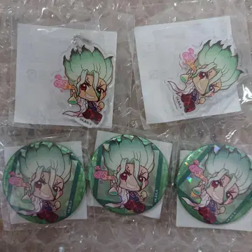 Dr.STONE 이시가미 센쿠 복권 캔뱃지 아크릴 키링