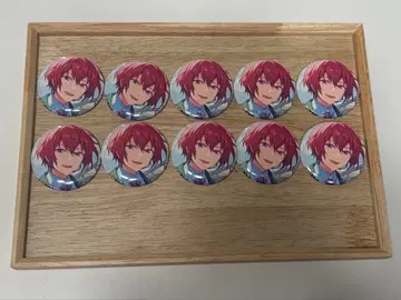 스오우 츠카사 캔뱃지 피처 2