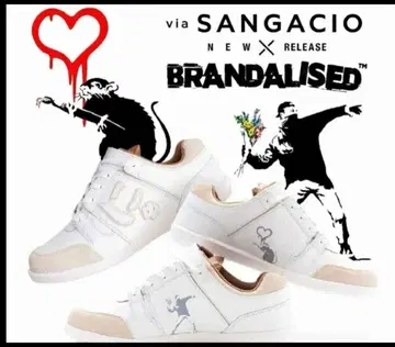 뉴즈com 반시 [ viaSANGACIO x BRANDALISED ]