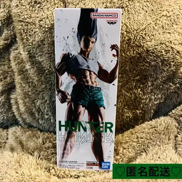 HUNTER x HUNTER 곤 피그라이프 -모든 펜-