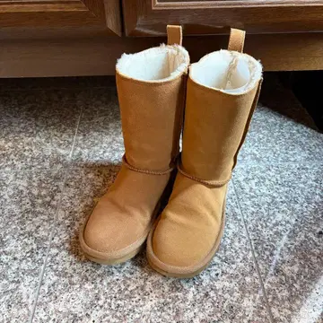 아메리칸 이글 어그 부츠