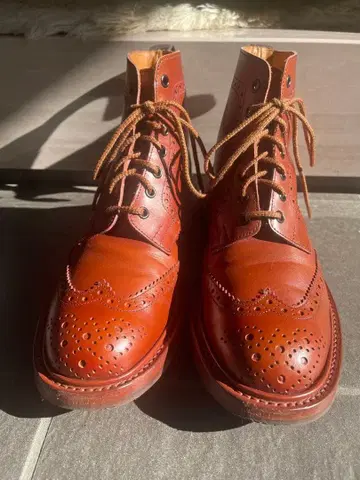 트리커스 몰튼 uk7.5 마론