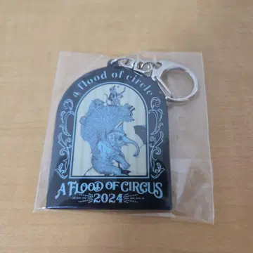 a flood of circle 도미코 아크링 키링