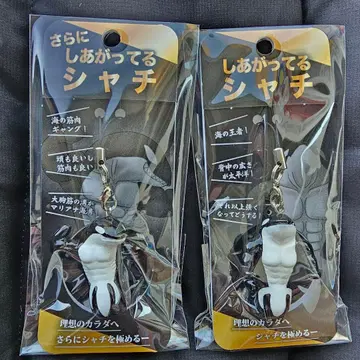 더욱 완성된 범고래 완성된 범고래 세트 키링 스트랩