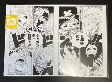 ONE PIECE ALL PAGES 마린포드 편 2년 이후 B4
