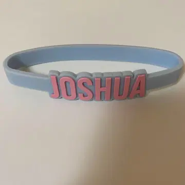 SEVENTEEN 조슈아 응원봉 액세서리